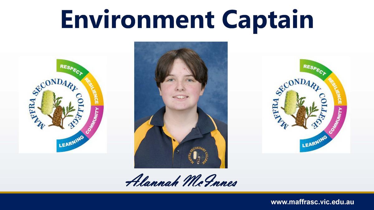 /uploaded_files/media/gallery/1739851537Environment Captains.jpg